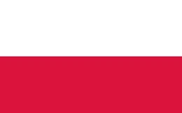 rozmawiamy w języku polskim